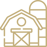 162y162_gold-barn